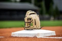 2023 Wilson A2000 1786 11.5" Infield Baseball Glove: WBW100969115 -Baseball Bats Sales Shop 2023A20001786 WBW100969115 2